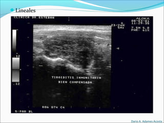 Lineales
Dario A. Adames Acosta
 