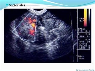Dario A. Adames Acosta
Sectoriales
 