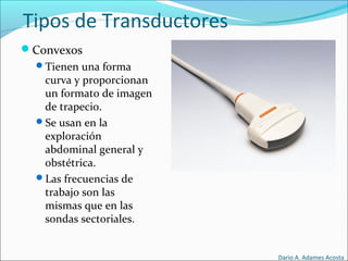 Tipos de Transductores
Convexos
Tienen una forma
curva y proporcionan
un formato de imagen
de trapecio.
Se usan en la
exploración
abdominal general y
obstétrica.
Las frecuencias de
trabajo son las
mismas que en las
sondas sectoriales.
Dario A. Adames Acosta
 