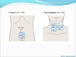 Dario A. Adames Acosta
 