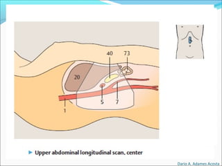 Dario A. Adames Acosta
 