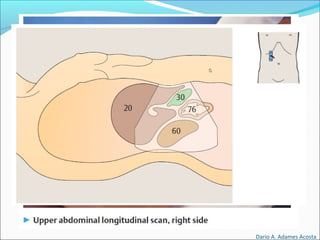 Dario A. Adames Acosta
 