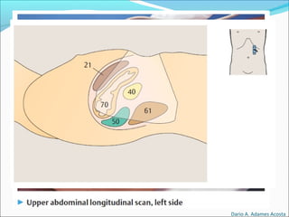 Dario A. Adames Acosta
 