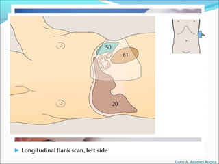 Dario A. Adames Acosta
 