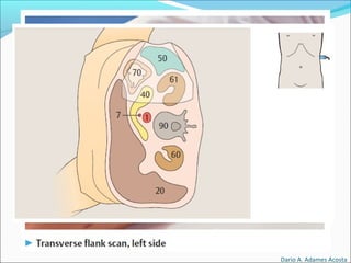 Dario A. Adames Acosta
 