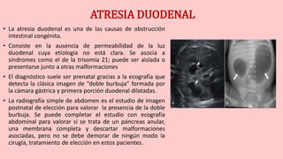 ATRESIA DUODENAL
• La atresia duodenal es una de las causas de obstrucción
intestinal congénita.
• Consiste en la ausencia de permeabilidad de la luz
duodenal cuya etiología no está clara. Se asocia a
síndromes como el de la trisomía 21; puede ser aislada o
presentarse junto a otras malformaciones
• El diagnóstico suele ser prenatal gracias a la ecografía que
detecta la clásica imagen de “doble burbuja” formada por
la cámara gástrica y primera porción duodenal dilatadas.
• La radiografía simple de abdomen es el estudio de imagen
postnatal de elección para valorar la presencia de la doble
burbuja. Se puede completar el estudio con ecografía
abdominal para valorar si se trata de un páncreas anular,
una membrana completa y descartar malformaciones
asociadas, pero no se debe demorar de ningún modo la
cirugía, tratamiento de elección en estos pacientes.
 