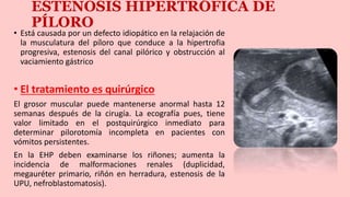 ESTENOSIS HIPERTRÓFICA DE
PÍLORO
• Está causada por un defecto idiopático en la relajación de
la musculatura del píloro que conduce a la hipertrofia
progresiva, estenosis del canal pilórico y obstrucción al
vaciamiento gástrico
• El tratamiento es quirúrgico
El grosor muscular puede mantenerse anormal hasta 12
semanas después de la cirugía. La ecografía pues, tiene
valor limitado en el postquirúrgico inmediato para
determinar pilorotomía incompleta en pacientes con
vómitos persistentes.
En la EHP deben examinarse los riñones; aumenta la
incidencia de malformaciones renales (duplicidad,
megauréter primario, riñón en herradura, estenosis de la
UPU, nefroblastomatosis).
 