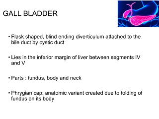 Sonographic anatomy of abdomen and pelvic organ | PPTX