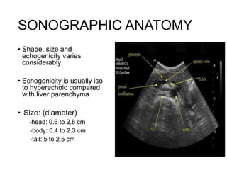 Sonographic anatomy of abdomen and pelvic organ | PPTX
