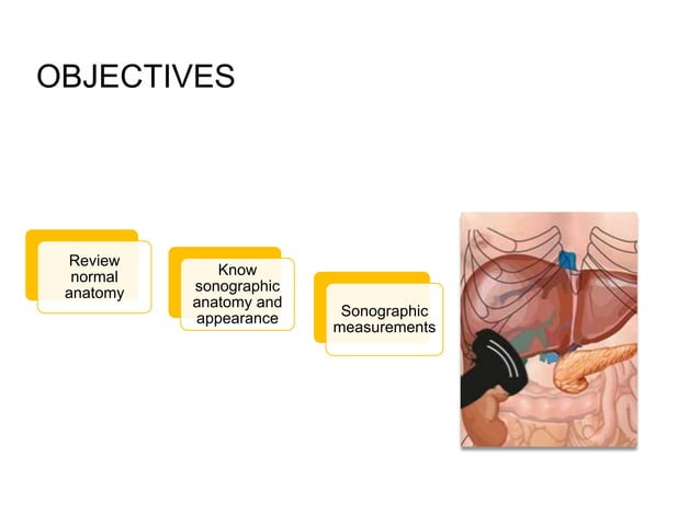 Sonographic anatomy of abdomen and pelvic organ | PPTX