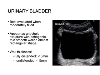 Sonographic anatomy of abdomen and pelvic organ | PPTX