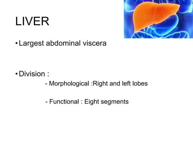 Sonographic anatomy of abdomen and pelvic organ | PPTX