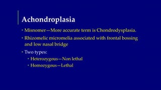 Achondroplasia
• Misnomer—More accurate term is Chondrodysplasia.
• Rhizomelic micromelia associated with frontal bossing
...