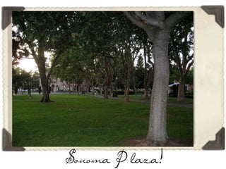 Sonoma Plaza!
 