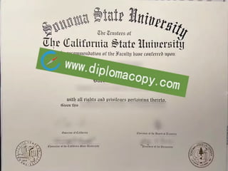 Sonoma State University diploma