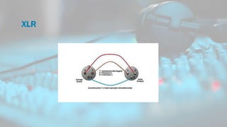 XLR
 