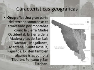 Características geográficas
• Orografía: Una gran parte
   del terreno sonorense es
  atravesado por montañas
       como la Sierra Madre
  Occidental, la Sierra de la
   Madera y las de San Luis
      Nacozari, Magallanes,
   Manzanal, Santa Rosalía,
  Pajaritos. Existen también
        algunas islas como la
    Tiburón, Pelícano y San
                     Esteban.
 