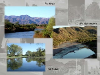 Río Yaqui




             Río Moctezuma




  Río Mayo
 
