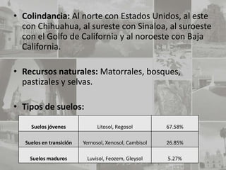 • Colindancia: Al norte con Estados Unidos, al este
  con Chihuahua, al sureste con Sinaloa, al suroeste
  con el Golfo de California y al noroeste con Baja
  California.

• Recursos naturales: Matorrales, bosques,
  pastizales y selvas.

• Tipos de suelos:

     Suelos jóvenes             Litosol, Regosol        67.58%

   Suelos en transición   Yernosol, Xenosol, Cambisol   26.85%

     Suelos maduros        Luvisol, Feozem, Gleysol     5.27%
 