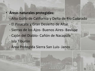 • Áreas naturales protegidas:
  - Alto Golfo de California y Delta de Río Colorado
  - El Pinacate y Gran Desierto de Altar
  - Sierras de los Ajos- Buenos Aires- Bavispe
  - Cajón del Diablo- Cañón de Nacapule
  - Isla Tiburón
  - Área Protegida Sierra San Luis- Janos
 