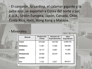 - El camarón, la sardina, el calamar gigante y la
jaiba azul, se exportan a Corea del norte y sur,
E.U.A., Unión Europea, Japón, Canadá, Chile,
Costa Rica, Haití, Hong Kong y Malasia.

- Minerales
 
