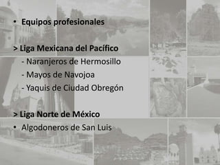 • Equipos profesionales

> Liga Mexicana del Pacífico
  - Naranjeros de Hermosillo
  - Mayos de Navojoa
  - Yaquis de Ciudad Obregón

> Liga Norte de México
• Algodoneros de San Luis
 