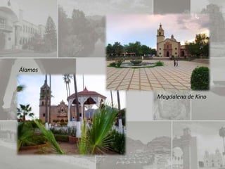 Álamos



         Magdalena de Kino
 