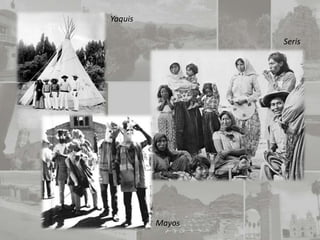 Yaquis

                 Seris




         Mayos
 