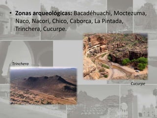• Zonas arqueológicas: Bacadéhuachi, Moctezuma,
  Naco, Nacori, Chico, Caborca, La Pintada,
  Trinchera, Cucurpe.




Trinchera



                                         Cucurpe
 