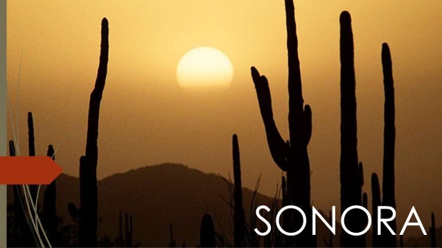 Sonora