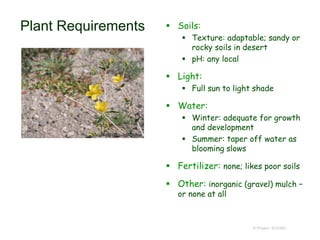 © Project SOUND
Plant Requirements  Soils:
 Texture: adaptable; sandy or
rocky soils in desert
 pH: any local
 Light:
 Full sun to light shade
 Water:
 Winter: adequate for growth
and development
 Summer: taper off water as
blooming slows
 Fertilizer: none; likes poor soils
 Other: inorganic (gravel) mulch –
or none at all
 