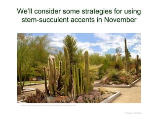 We’ll consider some strategies for using
stem-succulent accents in November
© Project SOUND
https://www.springspreserve.org/explore/botanical-garden.html
 