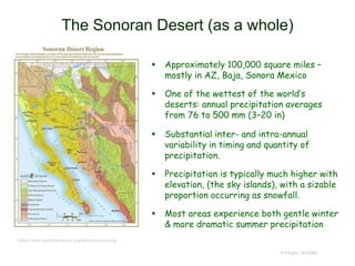 The Sonoran Desert (as a whole)
© Project SOUND
 Approximately 100,000 square miles –
mostly in AZ, Baja, Sonora Mexico
 One of the wettest of the world’s
deserts: annual precipitation averages
from 76 to 500 mm (3–20 in)
 Substantial inter- and intra-annual
variability in timing and quantity of
precipitation.
 Precipitation is typically much higher with
elevation, (the sky islands), with a sizable
proportion occurring as snowfall.
 Most areas experience both gentle winter
& more dramatic summer precipitation
https://www.desertmuseum.org/desert/sonora.php
 