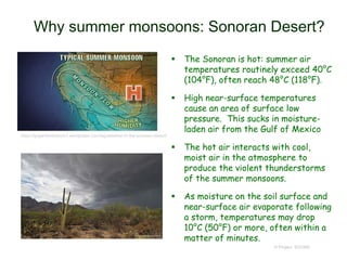 Why summer monsoons: Sonoran Desert?
 The Sonoran is hot: summer air
temperatures routinely exceed 40°C
(104°F), often reach 48°C (118°F).
 High near-surface temperatures
cause an area of surface low
pressure. This sucks in moisture-
laden air from the Gulf of Mexico
 The hot air interacts with cool,
moist air in the atmosphere to
produce the violent thunderstorms
of the summer monsoons.
 As moisture on the soil surface and
near-surface air evaporate following
a storm, temperatures may drop
10°C (50°F) or more, often within a
matter of minutes.
© Project SOUND
https://tjsgardendotcom1.wordpress.com/tag/weather-in-the-sonoran-desert/
 