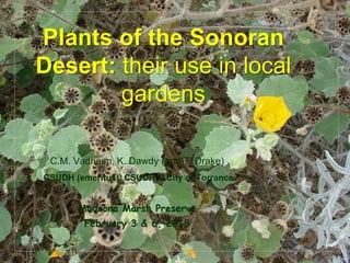 © Project SOUND
Plants of the Sonoran
Desert: their use in local
gardens
C.M. Vadheim, K. Dawdy (and T. Drake)
CSUDH (emeritus), CSUDH & City of Torrance
Madrona Marsh Preserve
February 3 & 6, 2018
 