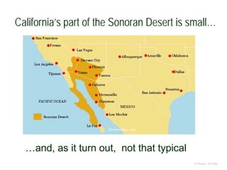 California’s part of the Sonoran Desert is small…
© Project SOUND
…and, as it turn out, not that typical
 