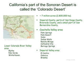 California’s part of the Sonoran Desert is
called the ‘Colorado Desert’
 ~ 7 million acres (2,800,000 ha).
 Imperial County, parts of San Diego County,
Riverside County, and a small part of San
Bernardino County.
 Coachella Valley area:
Palm Springs
Palm Desert
Indio
Indian Wells
Rancho Mirage
Cathedral City
Borrego Springs
 Imperial Valley area
El Centro
Calexico
Brawley
© Project SOUND
http://mojavedesert.net/plants/vegetation/01.html
Lower Colorado River Valley
area
Blythe
Palo Verde
Winterhaven
 