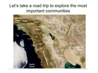 Let’s take a road trip to explore the most
important communities
© Project SOUNDhttp://gotbooks.miracosta.edu/geology/regions/colorado_desert.html
 