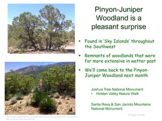 Pinyon-Juniper
Woodland is a
pleasant surprise
 Found in ‘Sky Islands’ throughout
the Southwest
 Remnants of woodlands that were
far more extensive in wetter past
 We’ll come back to the Pinyon-
Juniper Woodland next month
© Project SOUND
https://www.cheersnature.com/exploring-santa-rosa-and-san-jacinto-mountains-
national-monument-southern-ca/
Joshua Tree National Monument
• Hidden Valley Nature Walk
Santa Rosa & San Jacinto Mountains
National Monument
 