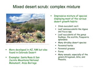 Mixed desert scrub: complex mixture
 Impressive mixture of species
displaying most of the various
desert growth habits:
 Stem-succulent cacti
 Leaf semisucculents like Agave
and Yucca spp.
 Leaf-succulents of the genus
Dudleya, the ocotillo, Fouquieria
splendens
 Many shrubby desert species
 Perennial herbs
 Perennial grasses
 Ferns
 Many annuals, especially of the
genera Eriogonum, Gilia, and
Phacelia.
© Project SOUND
https://www.fs.fed.us/wildflowers/beauty/Sky_Islands/communities/desertscrub.shtml
 More developed in AZ, NM but also
found in Colorado Desert
 Examples: Santa Rosa & San
Jacinto Mountains National
Monument; Anza-Borrego
 