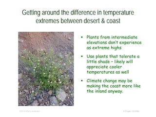 Getting around the difference in temperature
extremes between desert & coast
 Plants from intermediate
elevations don’t experience
as extreme highs
 Use plants that tolerate a
little shade – likely will
appreciate cooler
temperatures as well
 Climate change may be
making the coast more like
the inland anyway.
© Project SOUND©2015 Wynn Anderson
 