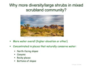 Why more diversity/large shrubs in mixed
scrubland community?
 More water overall (higher elevation or other)
 Concentrated in places that naturally conserve water:
 North-facing slopes
 Canyons
 Rocky places
 Bottoms of slopes
© Project SOUND
https://guideofus.com/california/joshua-tree-national-park
 