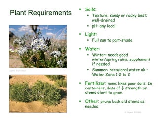 © Project SOUND
Plant Requirements
 Soils:
 Texture: sandy or rocky best;
well-drained
 pH: any local
 Light:
 Full sun to part-shade
 Water:
 Winter: needs good
winter/spring rains; supplement
if needed
 Summer: occasional water ok –
Water Zone 1-2 to 2
 Fertilizer: none; likes poor soils. In
containers, dose of ½ strength as
stems start to grow.
 Other: prune back old stems as
needed
©2004 Brent Miller
 