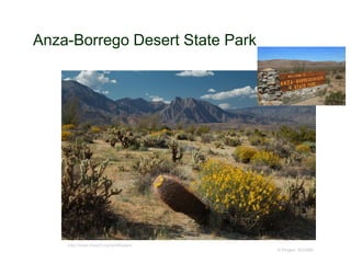 Anza-Borrego Desert State Park
© Project SOUND
http://www.theabf.org/wildflowers
 