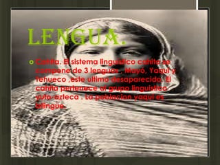 Lengua.
 Cahita.El sistema linguístico cahita se
 compone de 3 lenguas , Mayó, Yaqui y
 Tehueco ,este ultimo desaparecido. El
 cahita pertenece al grupo linguistico
 yuto-azteca . La poblacion yaqui es
 bilingüe.
 