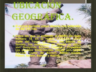 ubicación
geográfica.
   El actual territorio yaqui abarca una extensión
    de 485 235 has.

   Sobre las que se extiende el distrito de riego
    número 18, en la región conocida como
    Valle del Yaqui, al oriente del Estado de
    Sonora. Los municipios en donde se ubica
    son: Guaymas, Bácum, Cajeme y Empalme.
    Los pueblos tradicionales yaquis son ocho:
    Cócorit, Loma de Bácum, Tórim, Vícam,
    Pótam, Belem, Rahúm y Huirivis.
 