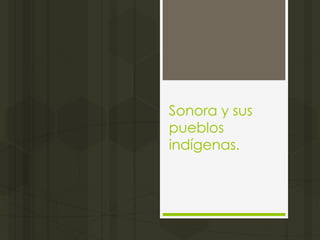 Sonora y sus
pueblos
indígenas.
 