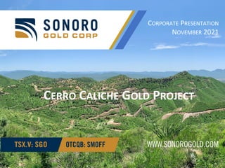 CERRO CALICHE GOLD PROJECT
CORPORATE PRESENTATION
NOVEMBER 2021
 