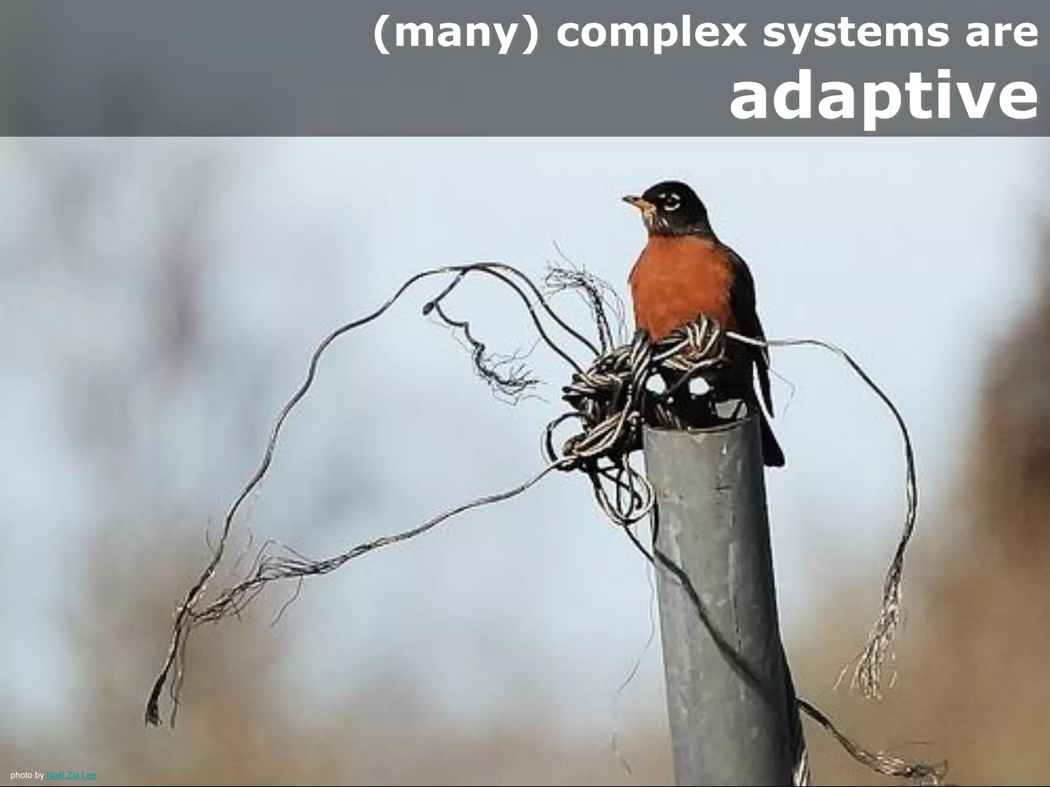 “For example, an ant colony, the brain, the
immune system, a Scrum team, and New
York City, are self-organizing systems.”
- Ken Schwaber
Agile Software Development with Scrum
“At the heart of complex adaptive systems
theory’s relevance to software development
is the concept of emergence, and the
factors leading to emergent results.”
- Jim Highsmith
Adaptive Software Development
 