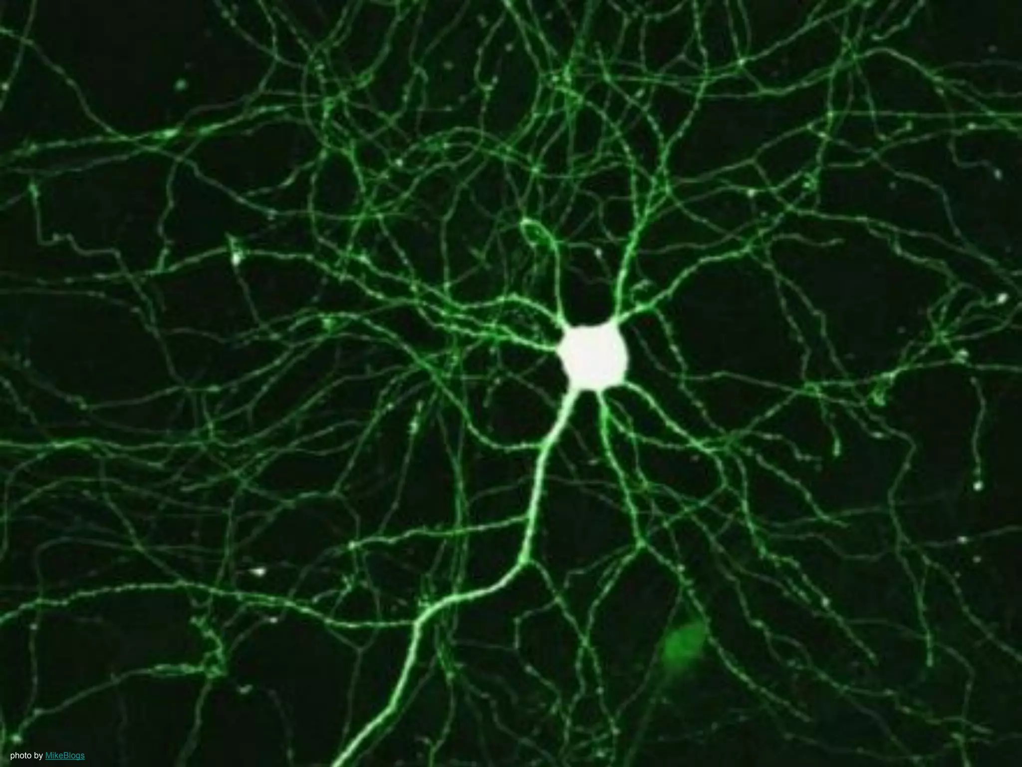 The 1st Law of Software Development
Motivate People
 